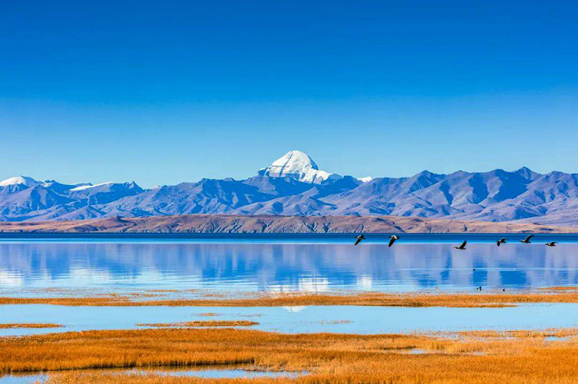 チョモランマ峰＆西チベット大周遊１１日間の旅
