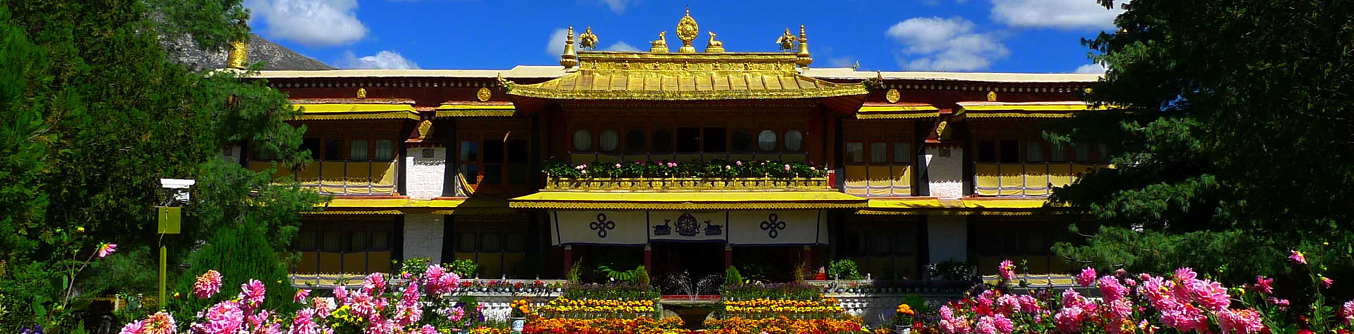 チベットラサ ノルブリンカ（羅布林卞）