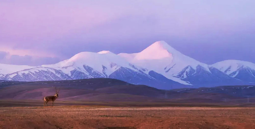 青海チベット鉄道(青蔵鉄道) 景色